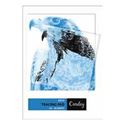 Picture for category Tracing Pads