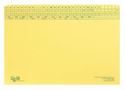 Picture of Tidy Files 44250 Middle Weight Files 190gsm